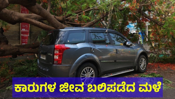 Bengaluru Citizens Saying This About Heavy Rain Of 2nd June 2024