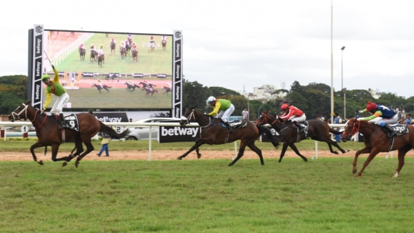 HC Prohibits BTC From Organizing Weekend Horse Race HC Prohibits BTC From Organizing Weekend Horse Race