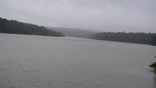 Kodagu Rain How Is This Year s Monsoon In Kodagu District