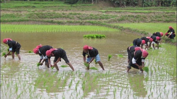 Kodagu Rain Do You Know How Those Rainy Days In Kodagu Were