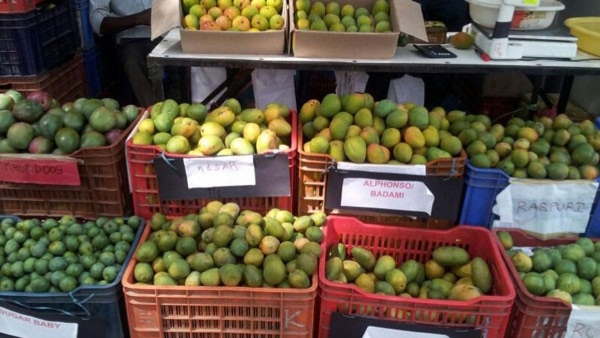 Farmers sold around 500 tonnes of mangoes at Lalbagh mango mela