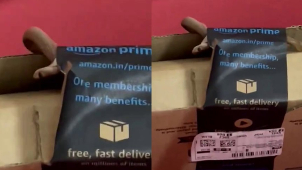 Couple claims they found a live cobra inside their Amazon package Couple claims they found a live cobra inside their Amazon package