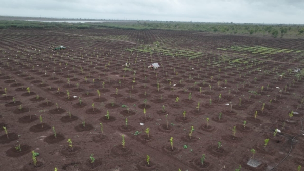 Coca Cola Company to Revive Historic Mamadapur Lake in Vijayapura District MB Patil