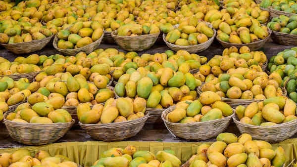 Mango Price Increased in Hubballi-Dharwad Market People Reluctant to Buy