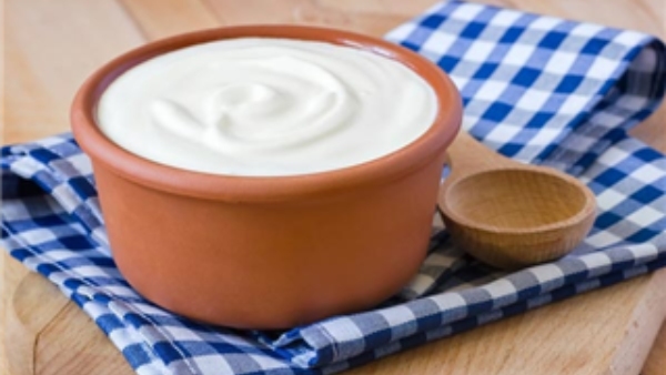 Why Curd is Your Best Choice for an Empty Stomach in Summer Mornings