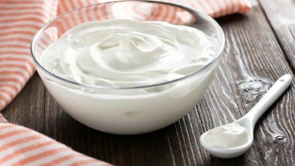 Why Curd is Your Best Choice for an Empty Stomach in Summer Mornings