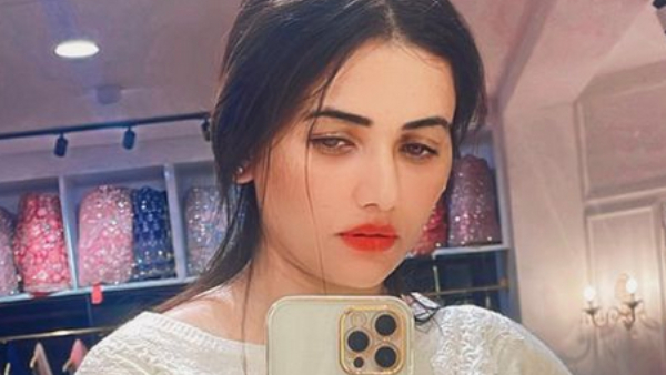 Pavithra Gowda Police Statement In Renukaswamy Murder Case