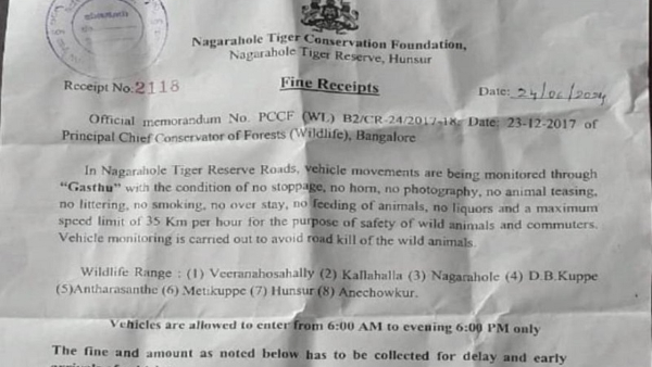 Photoshoot In Forests Are Prohibited Under The Forest Act Photoshoot In Forests Are Prohibited Under The Forest Act