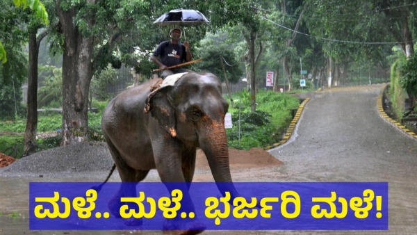Heavy Rain Will Hit To Karnataka For Next 3 Days From 18th June 2024