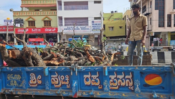 Bengaluru Rain BBMP Equips 11 Cranes 2 JCBs for Tree Clearing