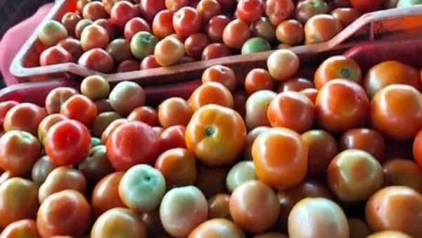 Tomato Price Hike Tomato fare that crossed the century mark