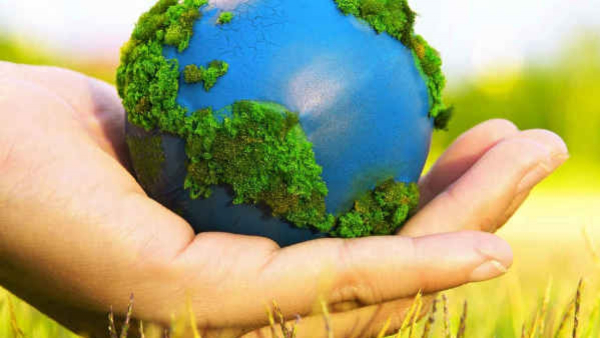 World Environment Day 2024 Start Save To Environment Today Itself