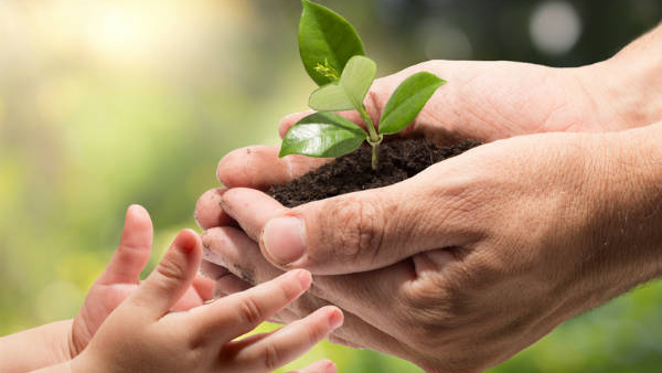 World Environment Day 2024 Start Save To Environment Today Itself