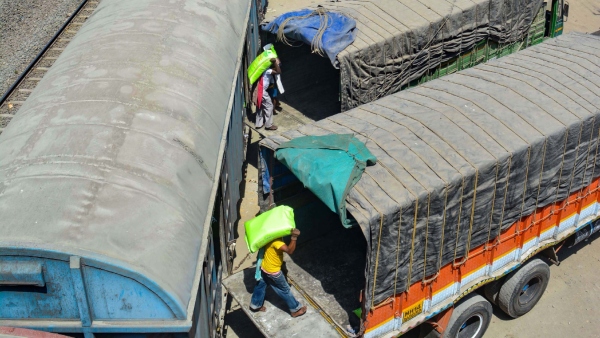 Use Of Urea Fertilizer Tips For Farmers