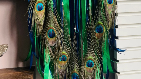 Vastu tips which direction is good for placing peacock feather at home in kannada