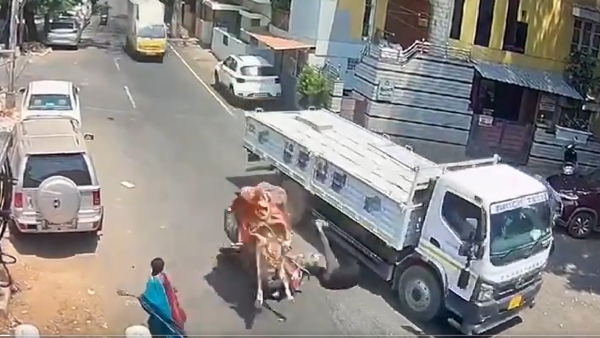 Bike Rider Narrowly Escapes Death in Heart-Stopping Accident with Bull in Bangalore Bike Rider Narrowly Escapes Death in Heart-Stopping Accident with Bull in Bangalore