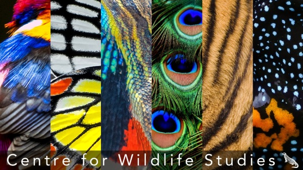 HC Set Aside Order Of Central Government On Center For Wild Life Studies