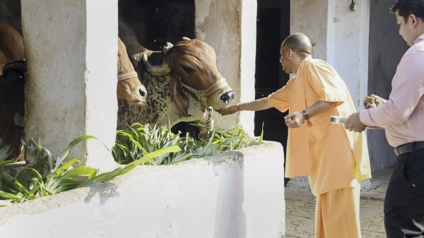 Lok Sabha Elections 2024 Brand Yogi Faces Setback Amid BJP s Poor Performance in Maharashtra