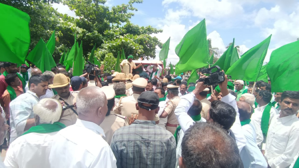 Milk price cut Farmers association thunders against state government with cows Milk price cut Farmers association thunders against state government with cows