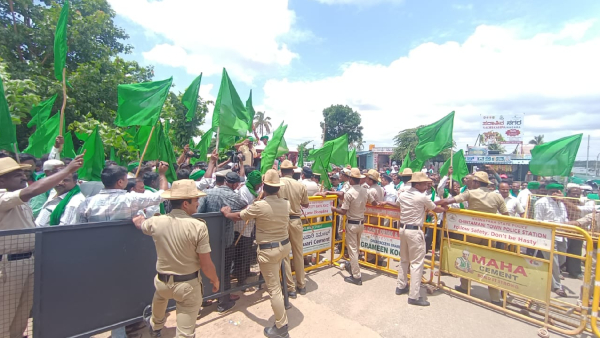 Milk price cut Farmers association thunders against state government with cows Milk price cut Farmers association thunders against state government with cows