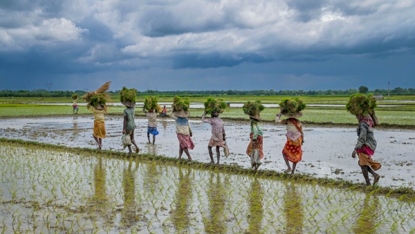 1 52 Lakh Crore Allocated to Agriculture in India s 2024 Budget 1 52 Lakh Crore Allocated to Agriculture in India s 2024 Budget