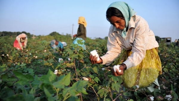 Union Budget 2024 Govt has Focus on 5 Category include Farmers Youth and Women