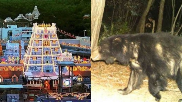 Tirumala News Another important decision of TTD for devotees going to Tirumala