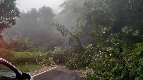 Charmadi Ghat Closed After Tree Falls Kottigehara Traffic Jam