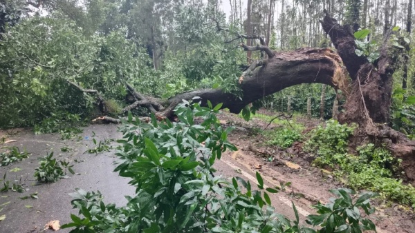 NH-73 route connecting Chikkamagaluru Mangalore is closed