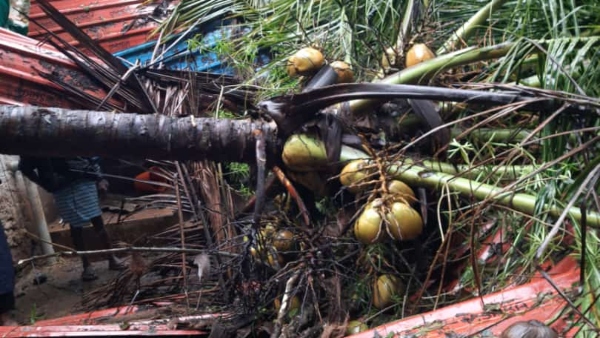 Heavy Rain Effect In Chikkamagaluru Huge Demand For Mobile Charging At Mudigere
