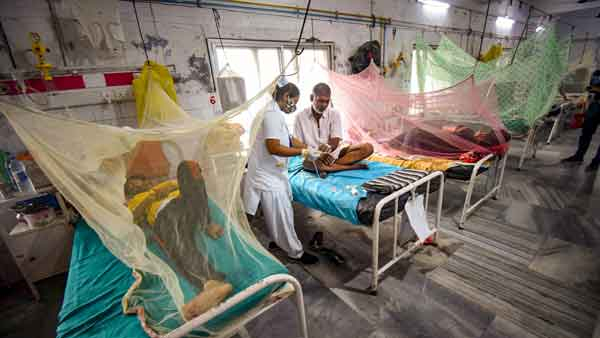 Dengue cases in Karnataka cross 10 000 mark