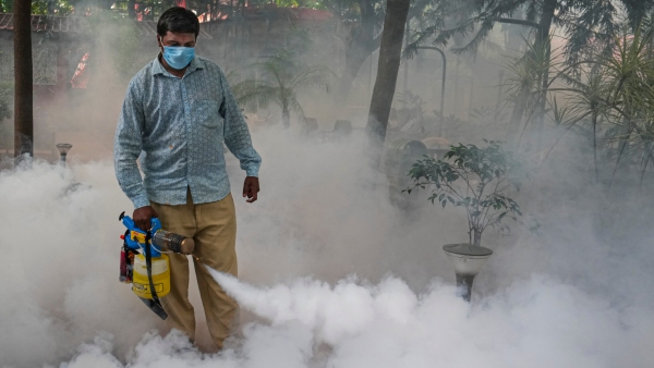 Dengue fever Rises in state karnataka government circular for schools Dengue fever Rises in state karnataka government circular for schools