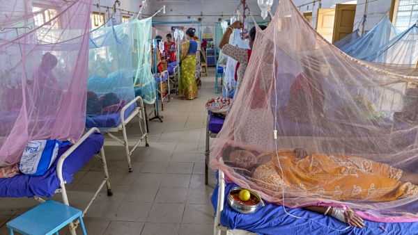 Dengue Monetization Plan Break All Testing rate Fix