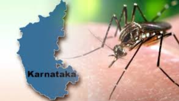 Know details of dengue cases in Karnataka on July 13th 2024