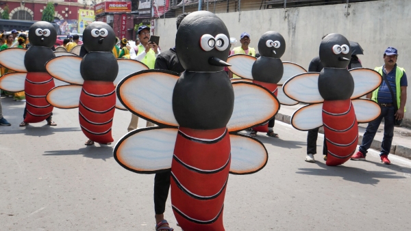 Dengue fever precautions How to prevent mosquito breeding in and around home