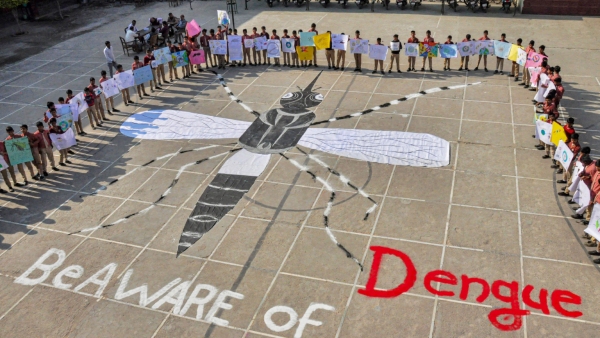 Dengue fever precautions How to prevent mosquito breeding in and around home