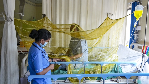 Dengue Outbreak in the State 381 Cases Detected in a Single Day