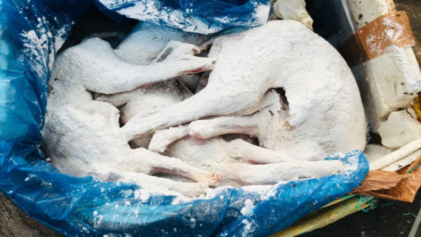 Dog meat from Rajasthan to Karnataka What is in the test report
