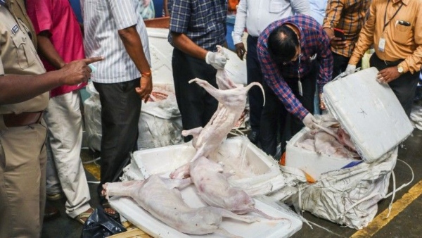 Dog meat supply case by train to Bengaluru Sent for meat testing