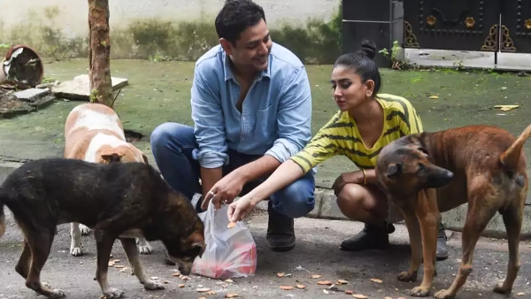 Evening Vastu Tips Navagraha Shanti if you do these five things every evening Evening Vastu Tips Navagraha Shanti if you do these five things every evening