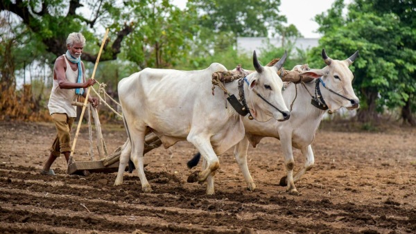 Farmers Aadhaar Link With Agriculture Pumpsets