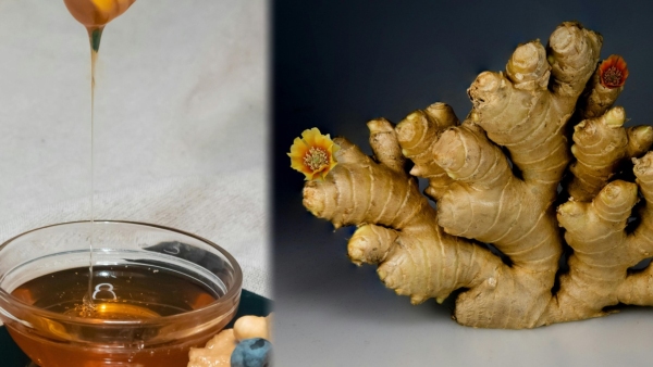 Health Benefits of Roasted Ginger and Honey A Natural Remedy for the Rainy Season