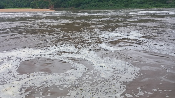 Note this news before traveling to Hogenakkal Falls