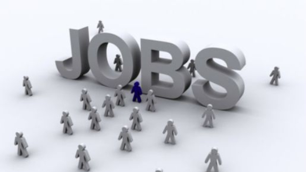 IISWC Recruitment Eligible Candidate Can Apply Project Assistant Post in IISWC