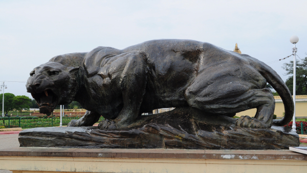 International Tiger Day Do You Know The Tiger Love Of Mysore Samsthana Kings