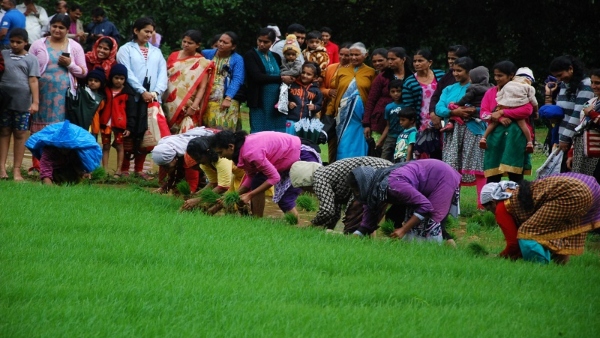 Kakkada Month Begins In Kodagu District What Is Special About It