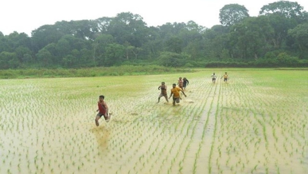 Kakkada Month Begins In Kodagu District What Is Special About It