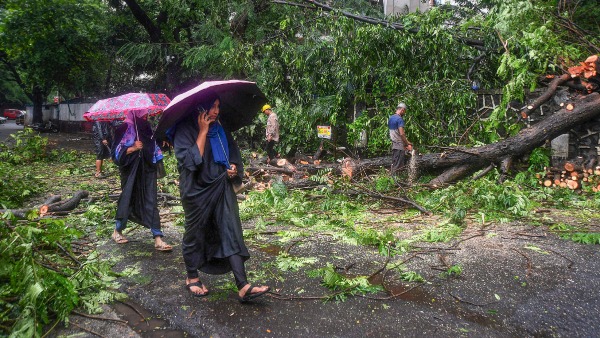 Karnataka Rains Heavy rainfall forecast in these districts till August 1st