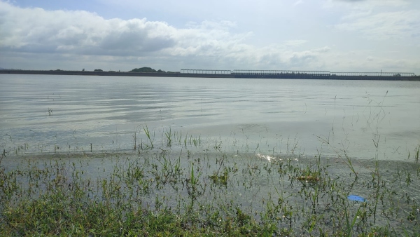 Kaveri Catchment Area s KRS and Kabini Dams Experience Surge in Inflow After Heavy Rains
