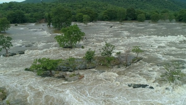 Water level rise in Kaveri river Drowned Hogenakkal Falls